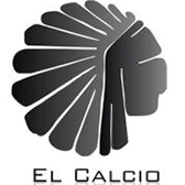 Torneo El Calcio